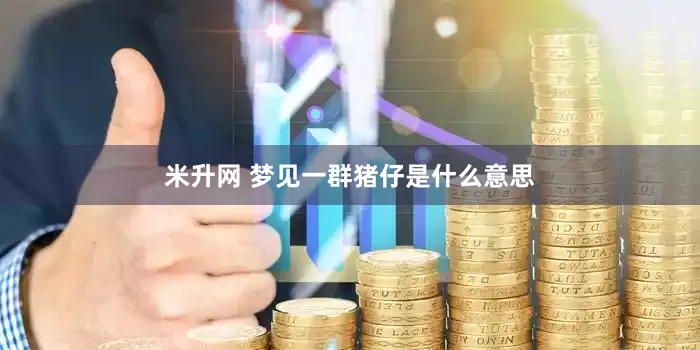米升网 梦见一群猪仔是什么意思