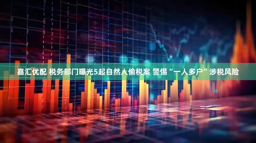 嘉汇优配 税务部门曝光5起自然人偷税案 警惕“一人多户”涉税风险